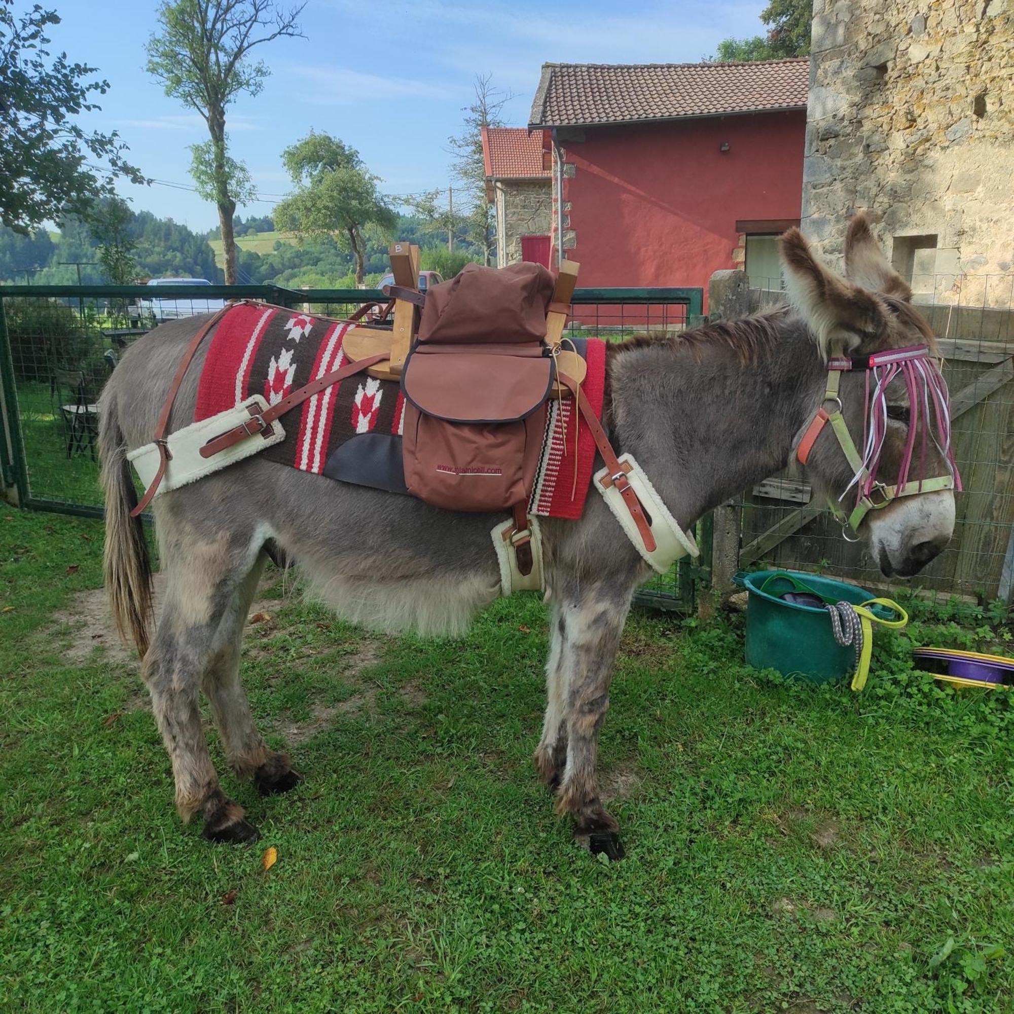 Gite La Roche Bertignat Εξωτερικό φωτογραφία